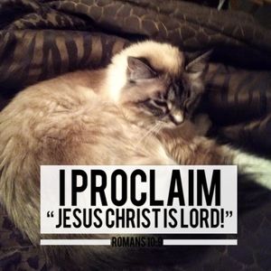 Meet your Posher, Kay